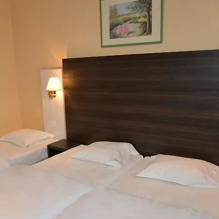 Majestic Alsace - Strasbourg Nord Hotel Niederbronn-les-Bains