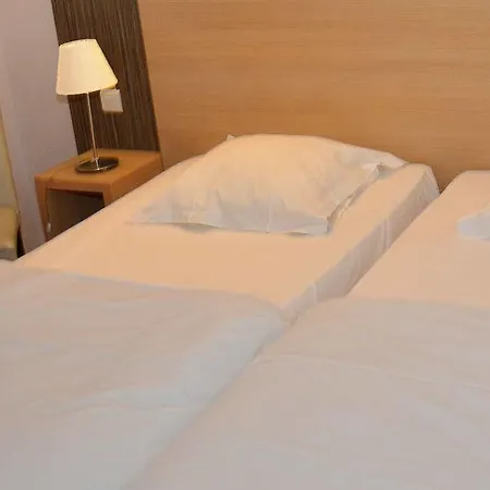 Majestic Alsace - Strasbourg Nord מלון 2*